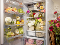 При какой температуре нужно хранить букеты цветов и можно ли делать это в холодильнике