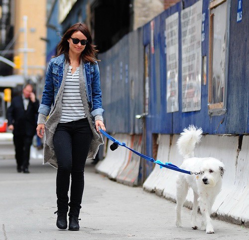 Оливия Уайлд выгуливает пса Пако в Нью-Йорке