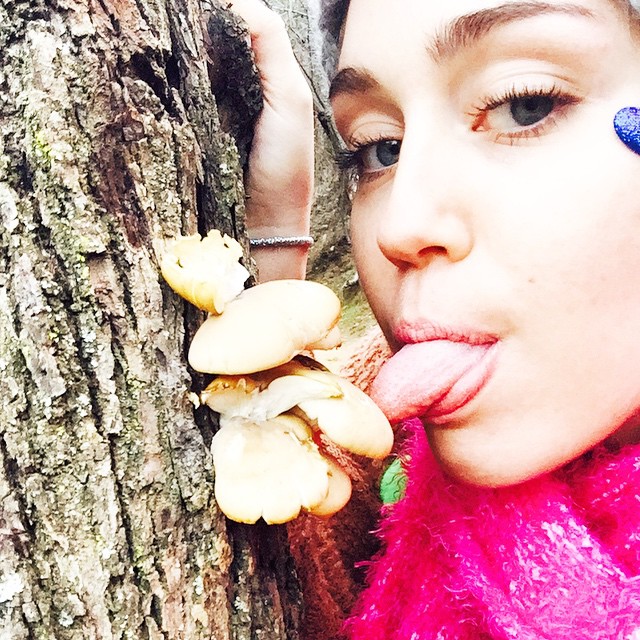 Christmas_2014_Miley_Cyrus_01.jpg