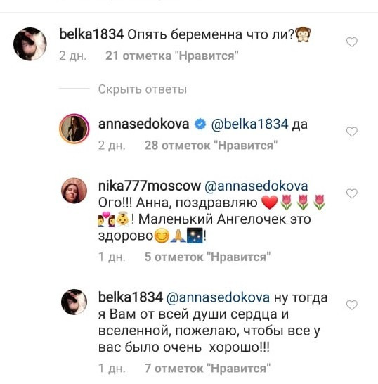 Анна Седокова беременна в четвертый раз