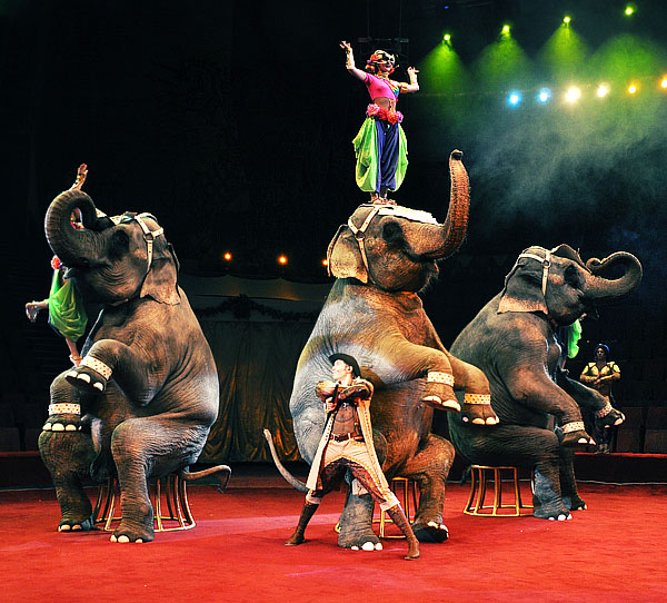 V Всемирный фестиваль циркового искусства