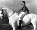 Ретрофото. Арнольд Шварценеггер на белом коне. 1975 год
