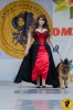 Дама с собачкой-2012