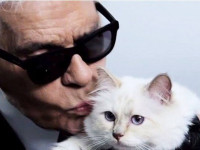 Кошка Лагерфельда выразила благодарность за соболезнования (ФОТО)