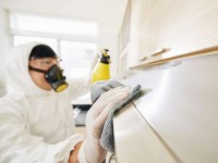 Обработка квартиры при педикулёзе: шаги к полному избавлению от вшей