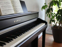 Где покупать пианино: онлайн, офлайн или гибридный формат — плюсы и риски каждого варианта