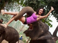 «Блестящую» Марину Бережную похитил слон (ФОТО)