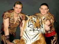 Братья Запашные назвали тигрёнка в честь известного певца (ФОТО)