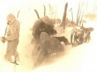 Британцы снимут фильм о загадочно погибшей группе Дятлова