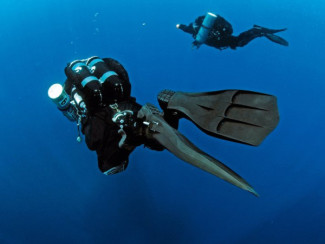 Где пройти курсы PADI Где пройти курсы PADI