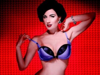 дита фон тиз dita von teese