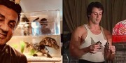 Сильвестр Сталлоне сохранил двух черепашек из «Рокки»! Сейчас им уже по 50 лет