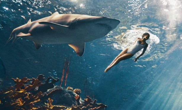Рианна плавает с акулой для фотосессии журнала Harper’s Bazaar