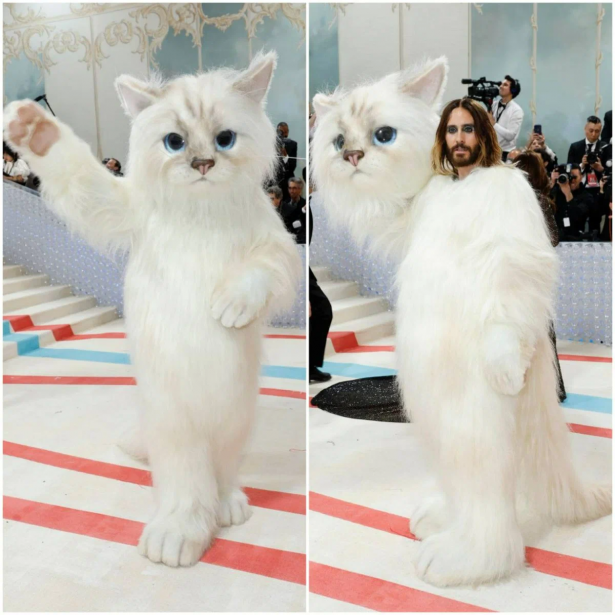 Джаред Лето в костюме кота на Met Gala 2023