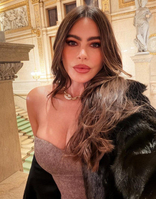 53-летняя София Вергара сверкнула роскошным декольте в Венской опере