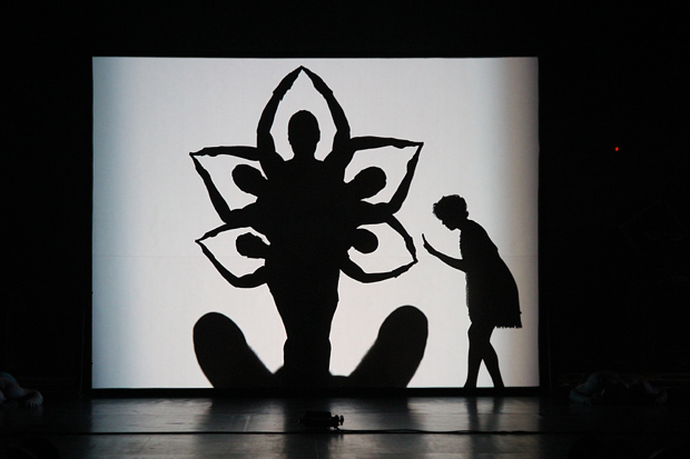 Pilobolus Shadowland в Москве